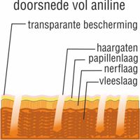 Alles-over-meubelleer Doorsnede vol anilin. perida.nl